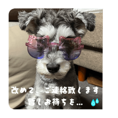 Bum  and BANDE_20251014090012