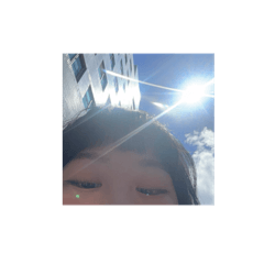 Ditto的貼圖