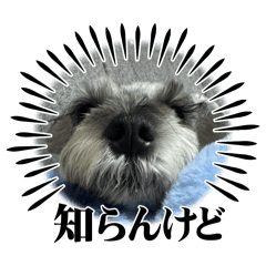 mumu66_20251014143128