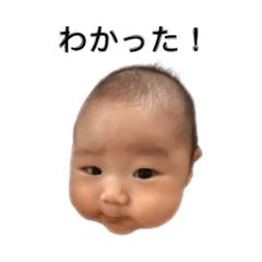yun_20251014145030