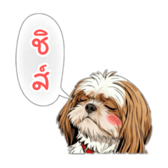 TonTon_20251014114555