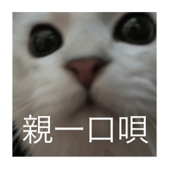 可頌與麻糬（yes/no)