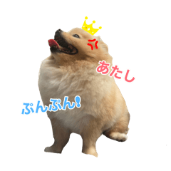 MOOOOJJIIIII