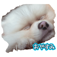 yuka_20251014164652