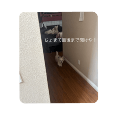 enachan_20251014171048