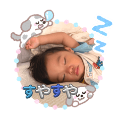 ringo_20251014192402