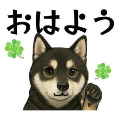 K.KENTA_20251014194540