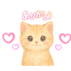 Animaru 8