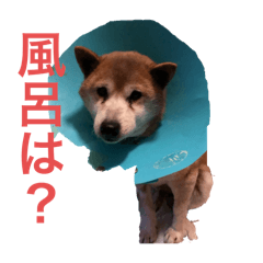 Hana_20251014201011