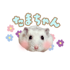 karensan_20251014201427