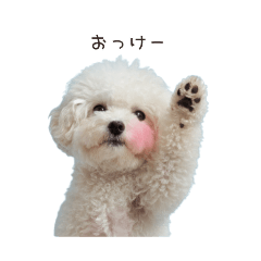 meimei_20251014174124