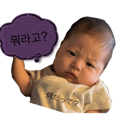 chico_20251013124811