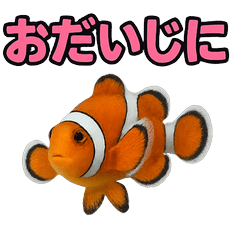 Happy Animal_Clownfish 1