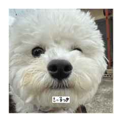 Mochio_20251014182720