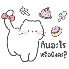 "ทาร่า“ คิวท์แคท - แชทน่ารัก