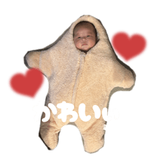 msk_20251014190504