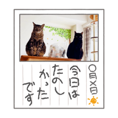 namizou_20251014185650