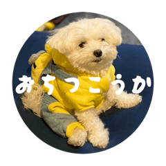 wataame_20251014214715