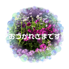 iku_20251014190631