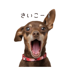 meimei_20251014214952