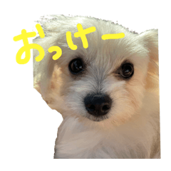 Yuzuki_20251015061323