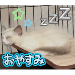 tina_20251015085050