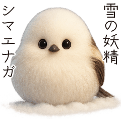 雪の妖精、シマエナガ