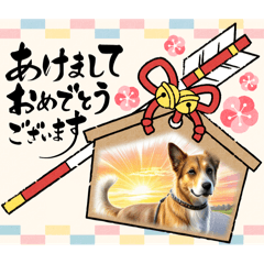 ワンのあいさつ状Part5