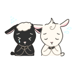 Sorry I Can not Make It