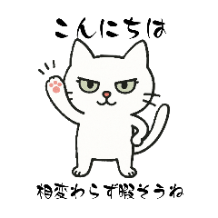 hanatoneko_20251014203714