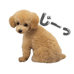 chachamaru stickers2