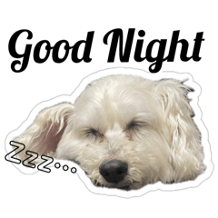 Haruka_20251014225218