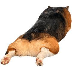 jappi_20251014224456