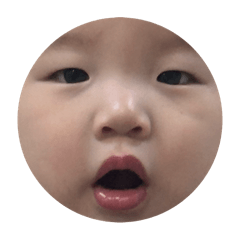 洋洋cde