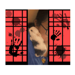 吐吐寶寶