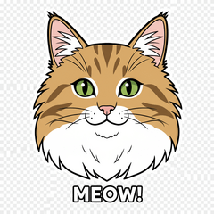 Norwegian Forest Cat Daily Stickers