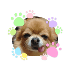 Haruka_20251014225457