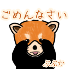 Bubuka's lesser panda