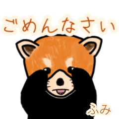 Fumi's lesser panda