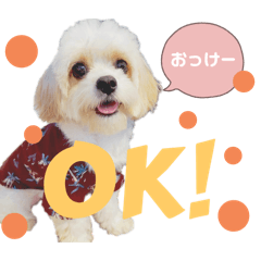 Kurumi_20251015033647