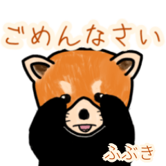 Fubuki's lesser panda