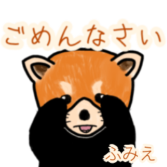 Fumie's lesser panda