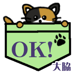Oowaki's Pocket Cat's