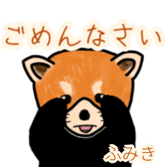 Fumiki's lesser panda