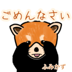 Fumikazu's lesser panda