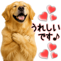 ゴールデンレトリバー★毎日使う気遣い♡