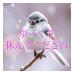 Realistic Long-tailed Tit Sticker
