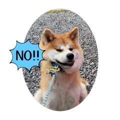 ayumi_20251015115123