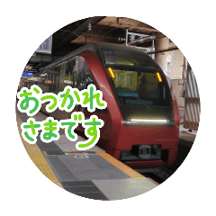 Kintetsu Limited Express Train