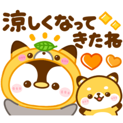 ぺんぺんの秋日記♡着ぐるみペンギン